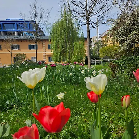 Orange Flat By Grazrentals Highest Standard & Free Parking Apartamento Graz