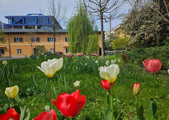 Orange Flat By Grazrentals Highest Standard & Free Parking 公寓 格拉茨